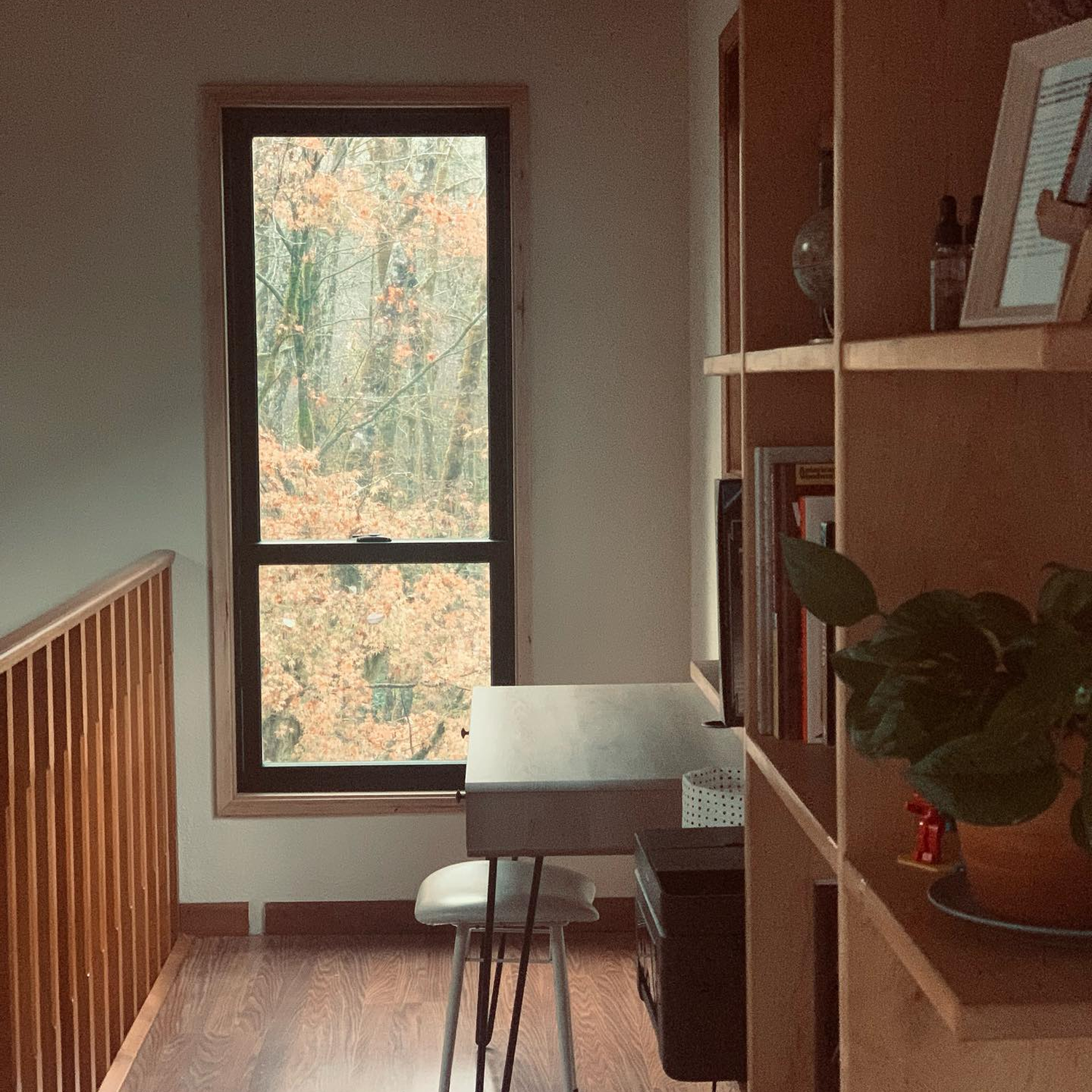 Hallway with a wooden floor and wooden bookcase along the way that ends in a long, skinny double hung window.