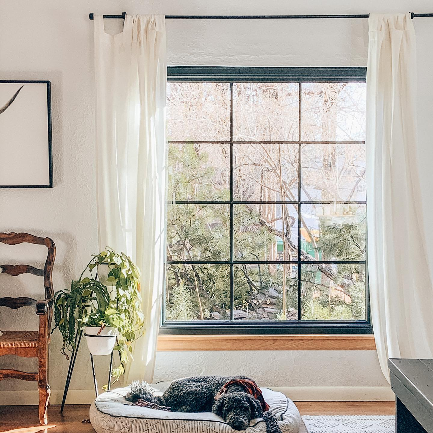 White room with a dog sleeping on the floor in front of a large picture window.