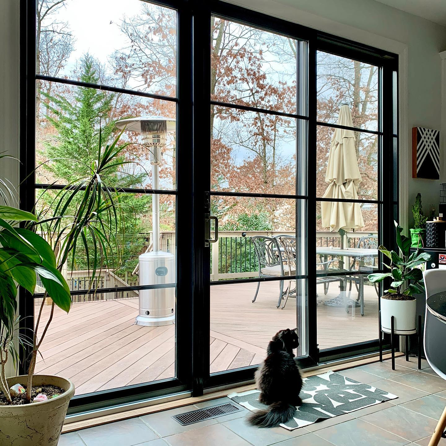 Cat sitting on the floor in front of a black sliding patio door looking out into the backyard.